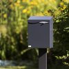 Forfin grå ulås Forfin grå ulås